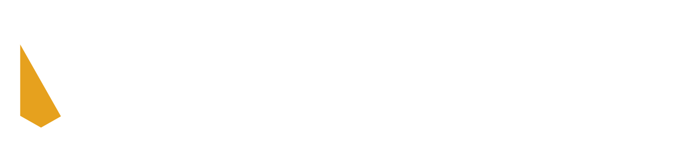 logo-narviz.svg